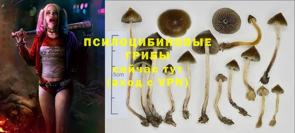 ALPHA PVP Богданович