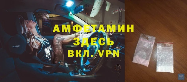 шишки Арсеньев