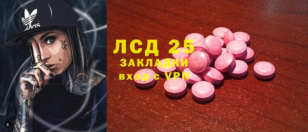 твердый Аркадак